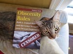  Obscenity Rules