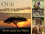 wild-therapy-with-dale-preece-kelly