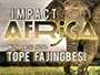 impact-africa-thursday-january-2-2014