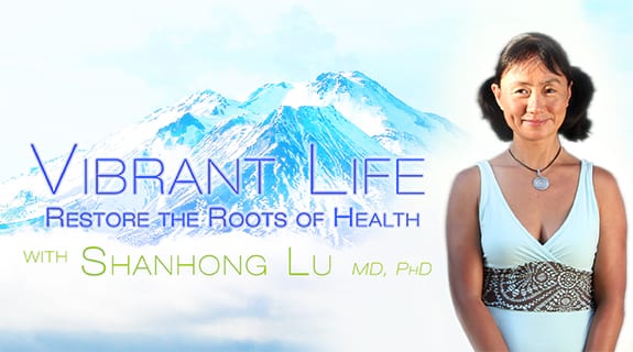 Vibrant Life: Restore the roots of Health 