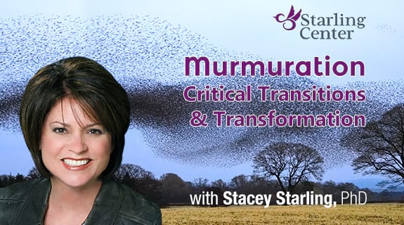 Murmuration: Critical Transitions and Transformation