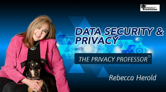 Data Security and Privacy with the Privacy Professor