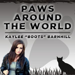 Paws Around The World